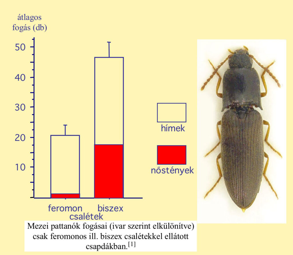 mezeipattanobogarbiszex